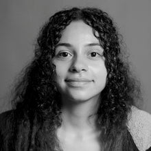 Load image into Gallery viewer, Boston Blue