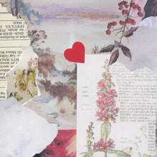 Load image into Gallery viewer, Pinky