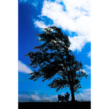 Load image into Gallery viewer, Blown Away