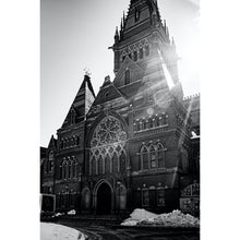 Load image into Gallery viewer, Overshadowed by Hope