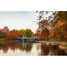 Load image into Gallery viewer, Camlity