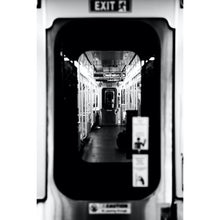 Load image into Gallery viewer, Reticent