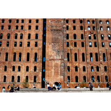 Load image into Gallery viewer, Domino