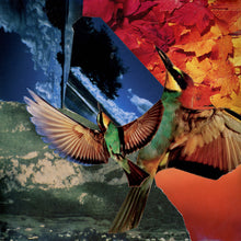 Load image into Gallery viewer, Fly