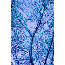 Load image into Gallery viewer, Blue Branching