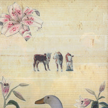 Load image into Gallery viewer, Holographic