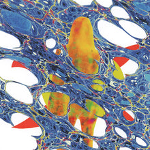 Load image into Gallery viewer, Transparent Awakening