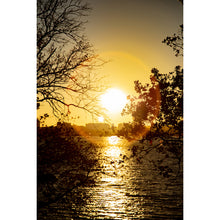 Load image into Gallery viewer, Golden