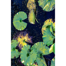 Load image into Gallery viewer, Leap of Faith