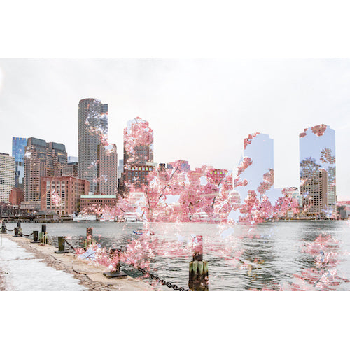 City Bloom