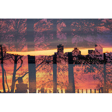 Load image into Gallery viewer, Rapture
