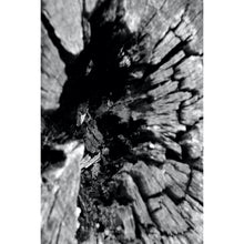 Load image into Gallery viewer, Center of Time
