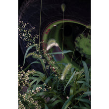 Load image into Gallery viewer, Untitled
