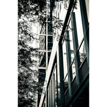 Load image into Gallery viewer, Near Elucid

