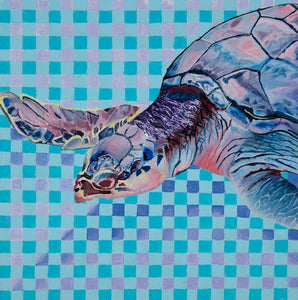 Kemps Ridley Sea Turtle