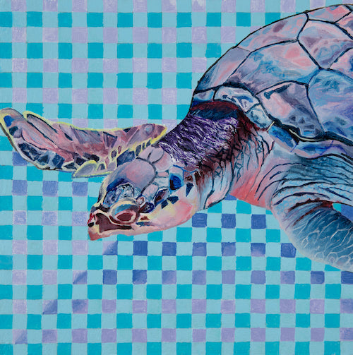Kemps Ridley Sea Turtle