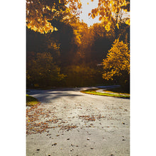 Load image into Gallery viewer, Fall Street

