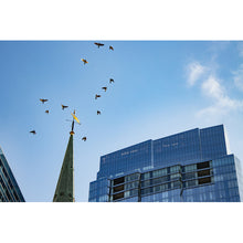 Load image into Gallery viewer, Flocking Birds
